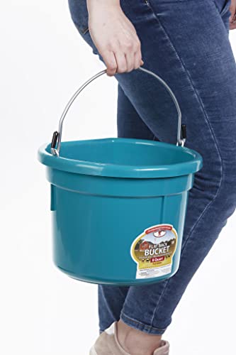 Little Giant® Flat Back Plastic Animal Feed Bucket | Animal Water and Feed Bucket with Metal Handle | 8 Quarts | Teal - color: Teal