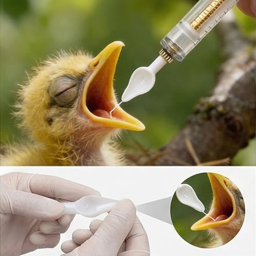 Baby Bird Feeding Syringe Set, Small Pet Parrot Feeding Tubes for Birds, Hand Feeding Tubes Kit Parrot Feeder Food Feeding & Watering Supplies for Small Pet Baby Birds (23 Pcs) - color: 23 Pcs