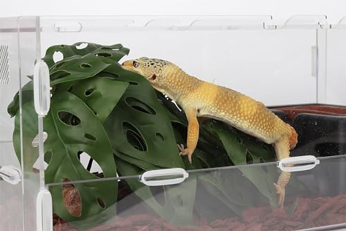 Swiss Cheese Reptile Terrarium Plants for Ball Python Snake Gecko | Reptile Artificial Plants, Fits Bearded Dragon Crested Gecko Lizard Frog Tortoise Tank Enrichment - color: B-fake Swiss Cheese Plants