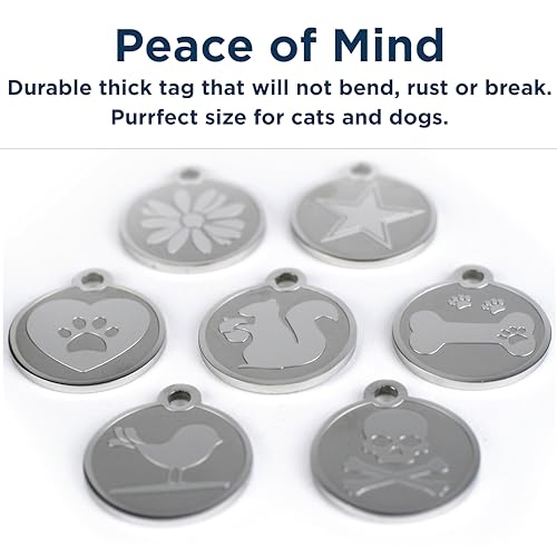 GoTags Playful, Custom Engraved Pet ID Tags, Solid Stainless Steel, Personalized Dog and Cat Pet ID with up to 4 Lines of Text, Cute, Durable and Long-Lasting - style: Bird