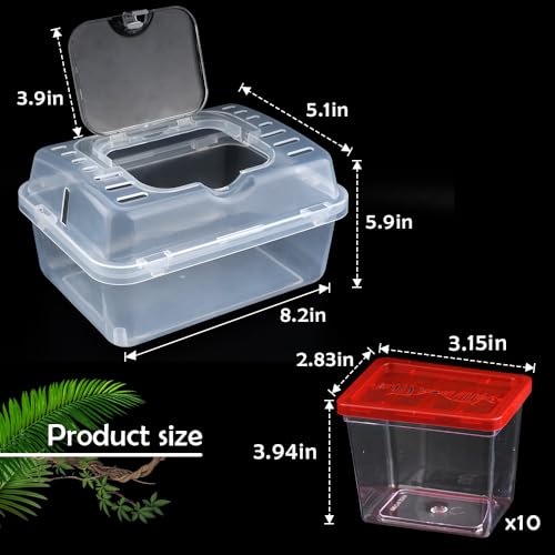1 Pack Clear Portable Insect Reptile Terrarium Tank with Handle for Spider Snail Turtle Hermit Crab Gecko Insects Small Reptiles (with 10 Pack Small Plastic Reptile Carrier)