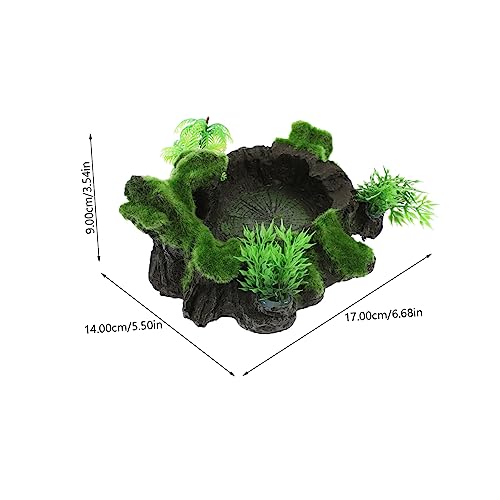 LIOOBO Terrarium Reptile Bowl Wear Resistant Water Dish Durable Feeding Accessory for Reptiles Natural Color Design for Food Water Storage Aquariums