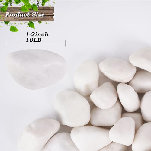 10 lbs White River Rocks, 1-2 inch Polished Decorative Stones,Suitable for Indoor and Outdoor Landscape Design, Gardens, Courtyards, Fish Tank Aquariums, Vases, Trail Decoration and DIY Decoration - color: White, size: 1-2 Inch 10 LB