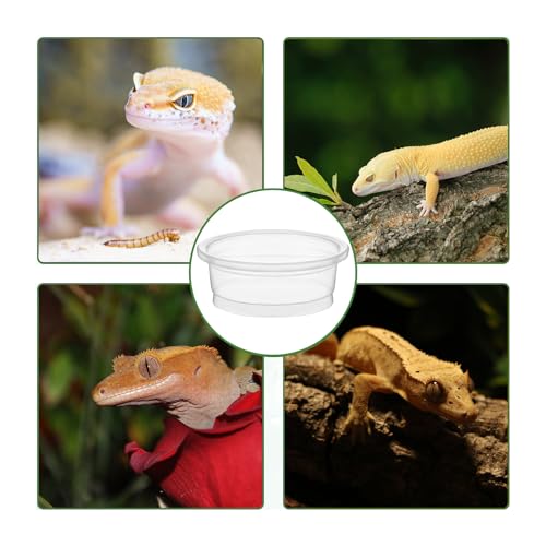 ZIYIZE 500 Pcs Feeding Cups Samll 0.5 oz Gecko Food and Water Feeding Dish Ledge Accessories Bowls for Crested Gecko Lizards Reptiles Pets