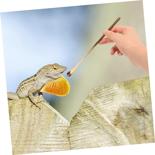 YARNOW 2pcs Sturdy Reptile Food Spoon Small Pet Feeding Tool for Lizard and Turtle Stainless Steel Easy to Use