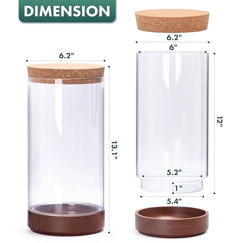 Clear Glass Houseplant Terrarium Planter, 6" W x 12" H, Cylindrical Terrarium with Wooden Base & Cork Lid | Versatile Tabletop Decoration for Home or Office or Hydroponics (Plant Not Included), 41-A-L - size: 6.2"D×12"H