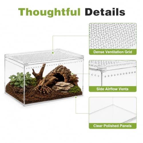 Large Clear Acrylic Jumping Spider Enclosure, 11.8 x 7.9 x 5.9 in | Suitable for tarantulas, spiders, mantises, beetles, and small reptiles, Wide opening design for feeding and cleaning