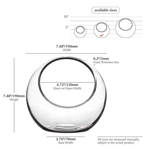 WGV Slant Cut Bowl Glass Vase, Width 7.5", Height 7.5", Clear Round Globe Planter Terrarium Orb, Candy Dish, Fruit Jar, Floral Container for Home Office Decor, 1 Piece - size: Orbit 7.5"D
