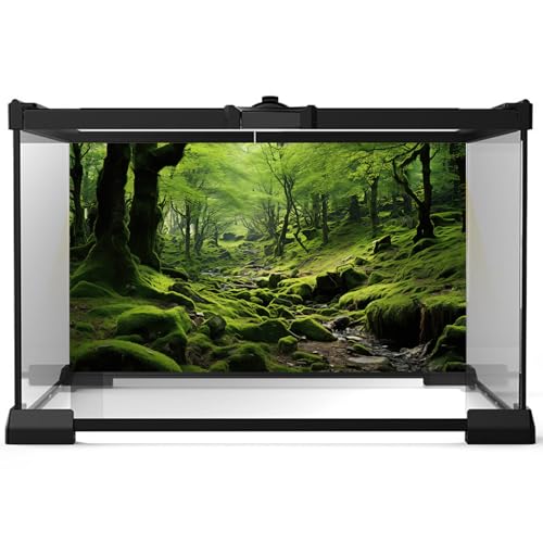 Moss Scenic Scenery Aquarium Background Tropical Forest with Lush Green Moss Terrarium Backdrop Stream Rocks Rainforest Natural Landscape Fish Tank Background Wallpaper Poster Decors Vinyl 24x12in - color: Green, size: 24(W)x12(H)inches/ 60(W)*30cm(H)