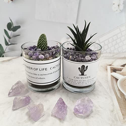 ZHIYUXI Amethyst Crystal Chips Fish Tank Gravel Vase Filler Stones Crushed Crystals Gemstone Polished Healing Crystals Natural Quartz Stone 0.44lbs - color: C# Amethyst, size: 0.44 Pound