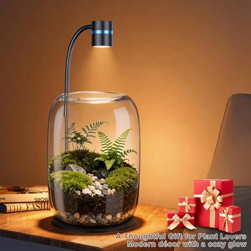 Glass Plant Terrarium with LED Grow Light for Home Office | 8.46" H x 5.9" D, Grow Light for Terrarium for Venus Fly Trap, Moss & Succulents, for Plant Lovers