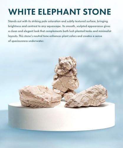 Natural Aquarium Stones - Off-White Textured with Grooves Decorative Aquascaping Rocks for Betta Fish Tank, Goldfish, Cichlids, Hermit Crab & Terrariums - White Elephant Skin, 10 LB - color: White Elephant Skin, size: 10 Pounds