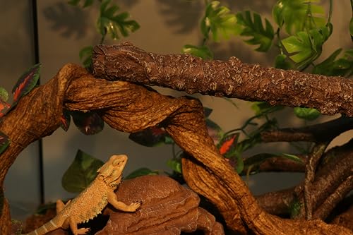 AQUA KT Reptile Climbing Stick Corner Tree Branch for Lizard Bearded Dragon Snake Hermit Crab Leopard Gecko Tree Frog Climber Accessory Terrarium Habitat Decoration - color: Bronze