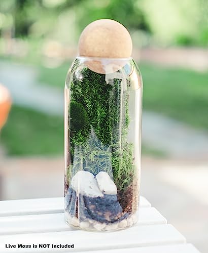 DIY Terrarium Kit with Closed Glass Bottle Container Planter with Lid (Ball Cork) | 2 Jars | Airtight Terrarium | Create Your Own Indoor Garden (No Live Plants) - style: Terrarium Kit + 2 Jars