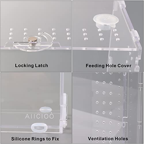 Aiicioo Micro Habitat Terrarium Enclosure 4x4x8 Inches Tarantula Enclosure Box Insect Habitat Clear Acrylic Reptile Feeding Tank for Jumping Spiders Insect Small Tree Dwelling Reptiles - size: 4x4x8 Inches