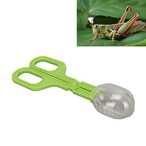 JTLB Reptile Feeding Clamp with Ventilated Poop Scoop Tool for Feeding and Cleaning, Suited for Tortoise, Lizard, Frog, Spider (Green) - color: Green