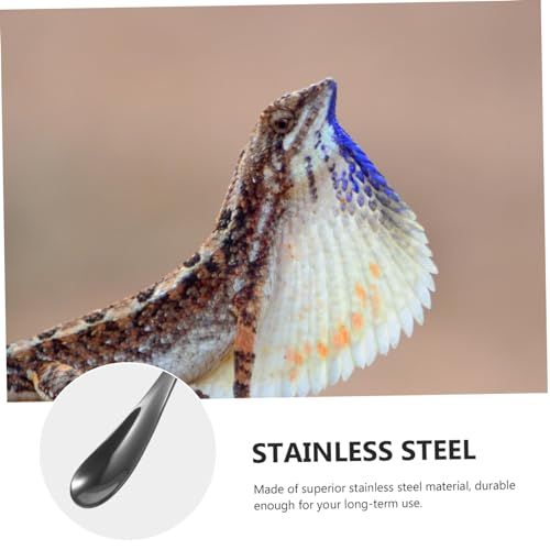 2pcs Stainless Steel Feeding Spoon for Reptiles Small Animal Lizard Pet Food Scoop Tool