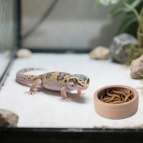 6 Pack Anti-Escape Reptile Food Dish Bowls, Plastic Worm Water Dish | Mealworm Feeder Cups for Small Gecko, Lizards, Bearded Dragon, Chameleon 2.83" W x 2.83" D x 0.98" H, 3 Colors