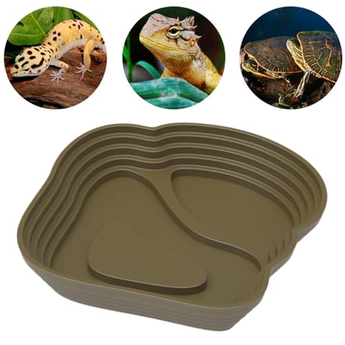 Reptile Bathing Pool, Large Green, Low Ramp Water and Feeding Dish for Bearded Dragons, Turtles, and Tortoises - color: Large, size: Green