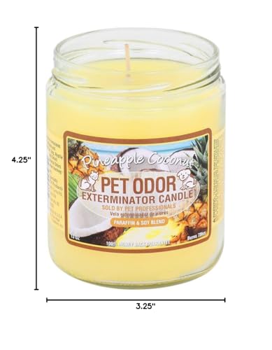 Pet Odor Exterminator Candle Pineapple Coconut - color: Pineapple & Coconut