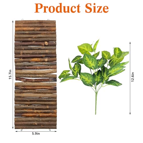 BNOSDM Small Reptile Hide Tortoise Hideout Bearded Dragon Wooden Bridge Snake Climbing Tunnel Reptile Tank Habitat Decor for Lizards Spiders Gecko Ball Python (15.7x5.9 in) - color: Small-15.7x5.9in