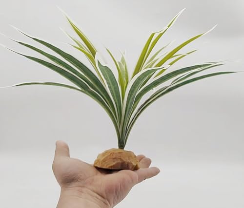 Reptile Plants Terrarium Decor,Reptile Tank Accessories | Artificial Leaves for Reptile Enclosure,Amphibian Habitat Decor with Base for Bearded Dragon Gecko Lizard Snake- - color: Fake Spider Plants