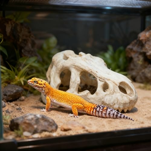 Dinosaur Skull Reptile Basking Platform, Resin Fish Tank & Terrarium Decor for Bearded Dragons, Lizards, Geckos - Aquarium Decor, Tarantula Hide Cave