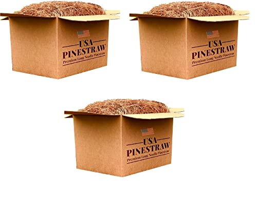 Long Needle Pine Straw Mulch - 100 Sqft Coverage 3 Set - Premium USA Harvested PineStraw for Landscaping, Weed Control, Moisture Retention & Erosion Control - USA Pinestraw - size: Pine Needle Mulch - Covers 100 Sqft 3 set