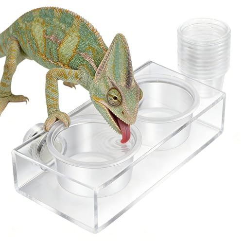 Reptiles Water Feeder Bowl with AntiEscape Design and Suction Base for Secure Placement in Habitats Secure Suction Feeder Bowl - color: Magnet Food Station