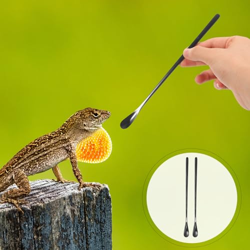 POPETPOP 2pcs Reptile Food Spoon Stainless Steel Lizard Feeding Scoop Small Animal Water Food Feeder for Lizards Chameleons and Other Pets - color: As Shown 1