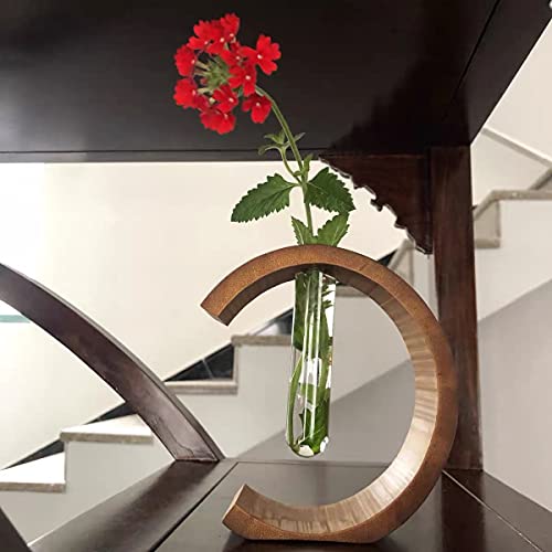 Plant Terrariums Kit Desktop Hydroponics Air Planter Holder Glass Vase and Solid Bamboo Stand for Home Office Decoration Gift for Women- Natural Bamboo hydroponic Plant vase