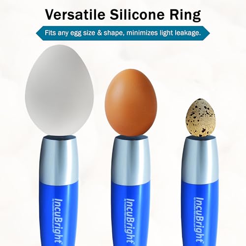 Incu-Brightβ’ Ultra Bright LED Egg Candler - Portable Light for All Egg Size