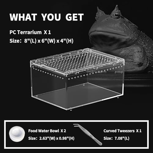 Reptile PC Terrarium 8" x 6" x 4", Tarantula Enclosure,Spider Tank Starter Kit, Hermit Crab Habitat,Lizard Enclosure,Insect Housing,Jumping Spider Cage (Small) - size: 8" x 6" x 4"