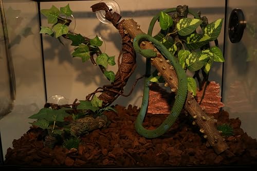 AQUA KT Reptile Climbing Corner Stick Branch Rain Forest Style for Snake Lizard Hermit Crab Bearded Dragon Terrarium Habitat Decoration - color: Yellow