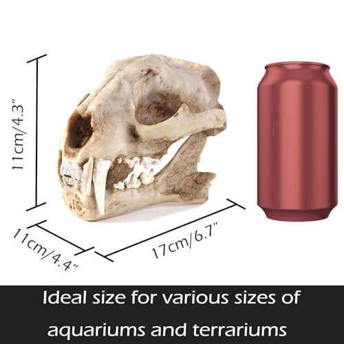 Aquarium Décor Cave Decorations Fish Hideout Betta Tarantula Reptile Snake for Terrarium Ornament Dinosaur Animal Skull Large Bones Halloween - color: Leopard