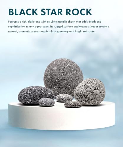 SubstrateSource Natural Aquarium Stones - Porous Charcoal Volcanic Aquascaping Rocks with Small Holes for Betta Fish Tank, Reptile Enclosure, Cichlids, Shrimp, Hermit Crab - Black Star Lava, 20 LB - color: Black Star Lava Rock, size: 20 Pounds
