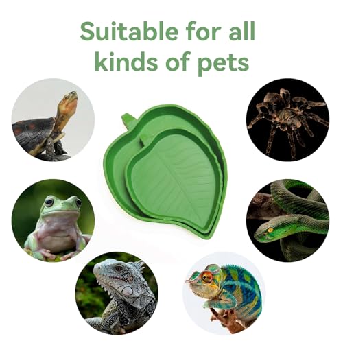 2-Pack Leaf Shape Reptile Food & Water Bowl, Tortoise Feeding Dish | Multipurpose Reptile Habitat Bowl for Bearded Dragon, Lizard, Gecko, Corn Snake & Crawl Pets