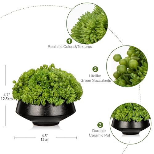 Briful Succulents Plants Artificial in Ceramic Pots Fake Succulent Arrangement with Black Bowl Planter Large Faux Succulent Plants for Home Bathroom Shelf Desk Table Indoor Decor - color: Succulents Plant#1