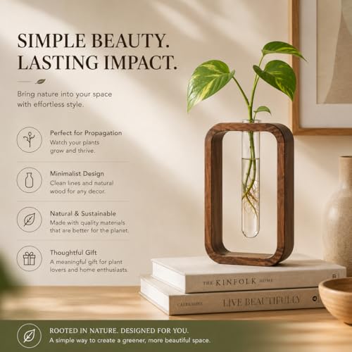 Modern Wooden Frame Glass Vase Hydroponic Planter ā Minimalist Square Propagation Station with Test Tube Vase ā Indoor Plant Terrarium for Flower, Cuttings & Home Office Decor