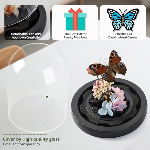 Handmade Butterfly Specimen Boxes Glass Cover Ornaments | Dried Flowers, Plants, Holiday Decorations Birthday Gift for Women - color: Peacock Butterfly