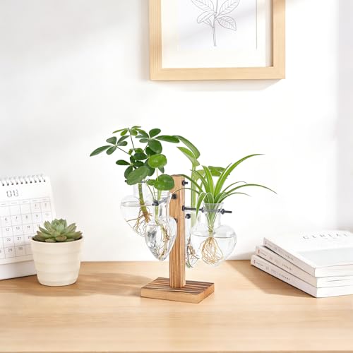 Mkono Propagation Stations,4 Heart Shaped Glass Plant Vases with Wood Stand | Hydroponic Terrarium, Desktop Propagation Jars, Cute Air Plant Flower Holder,Home Office Decor, Plant Lover Gardening Gift - size: 4 Heart Bulb Vase