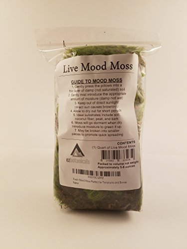 Fresh Mood Moss Perfect for Terrariums and Bonsai