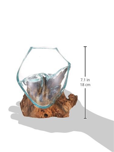 Molten Glass | #650-15A | Molten Glass & Wood Sculpture | Terrarium | Fairy Garden | Approximately 6" Wide | Natural Wood and Recycled Glass | - size: Approximately 6" Wide