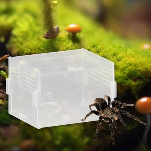Reptile Breeding Box Acrylic Terrarium Container with Ventilation Holes for Snakes Turtles Chameleons Frogs Geckos Small Animal Habitat- 10x8x7cm