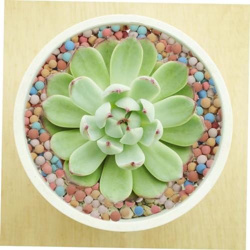 Toddmomy 2bags Ceramsite Stones for Plant Decoration for Hydroponic Gardening Air Purification and Root Aeration Flower Pots
