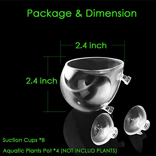 capetsma 4X Crystal Glass Aquarium Plant Pot, Aquarium Aquatic Planter, Red Shrimp Live Plants Fish Tank Glass Holder with 4X Suction Cups for Aquarium Fish Tank Decorations β¦ (4 Pack)β¦ - size: 4 pack