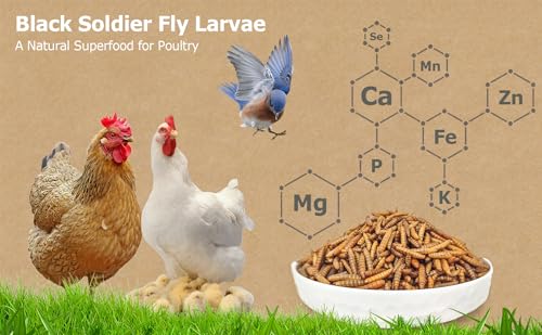 Premium Dried Black Soldier Fly Larvae for Chickens - 5LB High Calcium Supplement, Molting and Laying Support, Non-GMO & High-Protein Treats, Food for Wild Birds, Ducks, Reptile | Top Grade - size: 5 Pound (Pack of 1)
