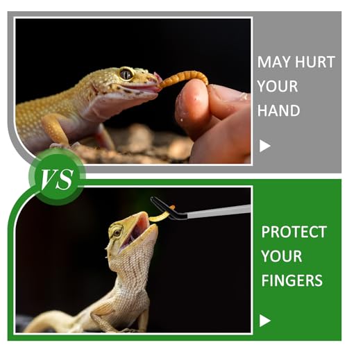 Jingmore 4 Pcs Bearded Dragon Food Bowl Set Reptile Snake Feeding Accessories Stainless Steel Reptile Feeding Tongs with Rubber Clamp for Bearded Dragon Lizard