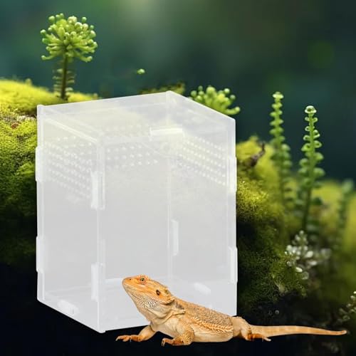 Reptile Breeding Box Terrarium Habitat Tank Transparent Acrylic Enclosure with Ventilation Holes for Snakes Frogs Turtles Geckos Small Animals- 8x7x10cm
