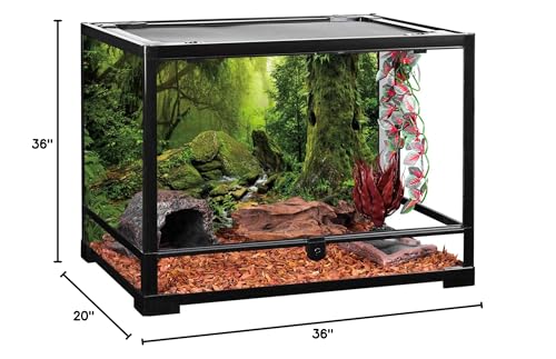 Forest Green Tree Terrarium Backdrop Reptile Habitat Background 36x20 in | AWERT Tropical Foggy Rainforest Stream Aquarium Durable Polyester Background - size: 36 x 20 inches